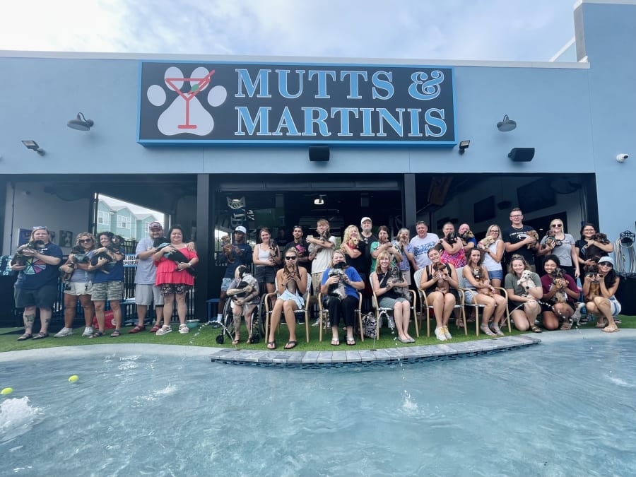 Dog-friendly singles mixer – photo 4
